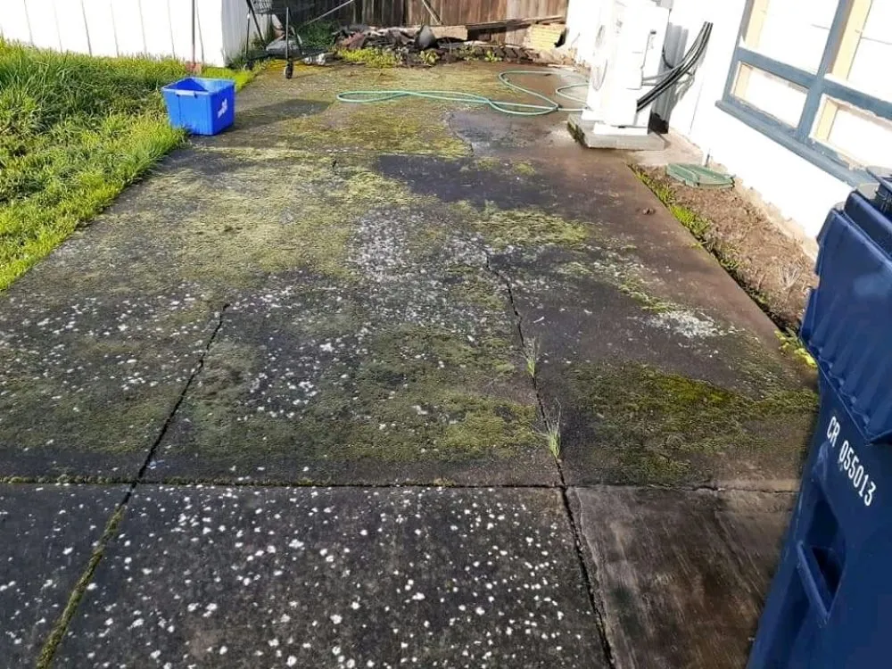 Local yard cleanup service in Springfield, OR by Rivers Lawn Care Services