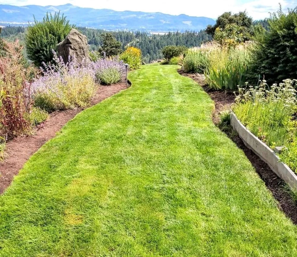 Trusted residential landscaping in Springfield, OR - Rivers Lawn Care Services
