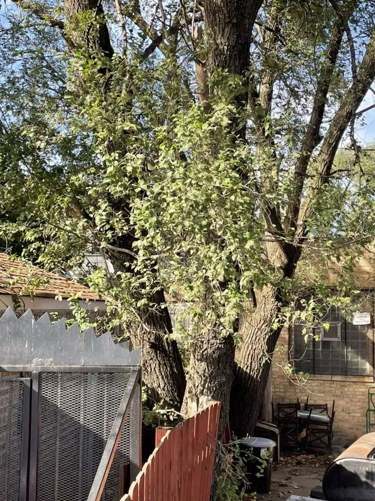 Custom yard maintenance in Horn Lake, MS - Rivers Lawn Service