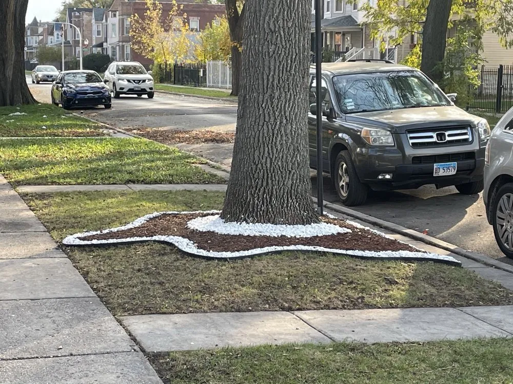 Professional yard maintenance in Horn Lake, MS - Rivers Lawn Service