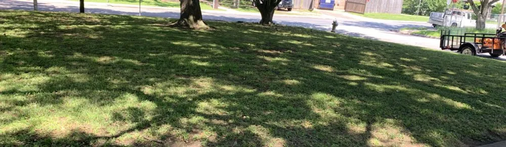 Local yard cleanup service in Mont Belvieu, TX - River’s Service’s