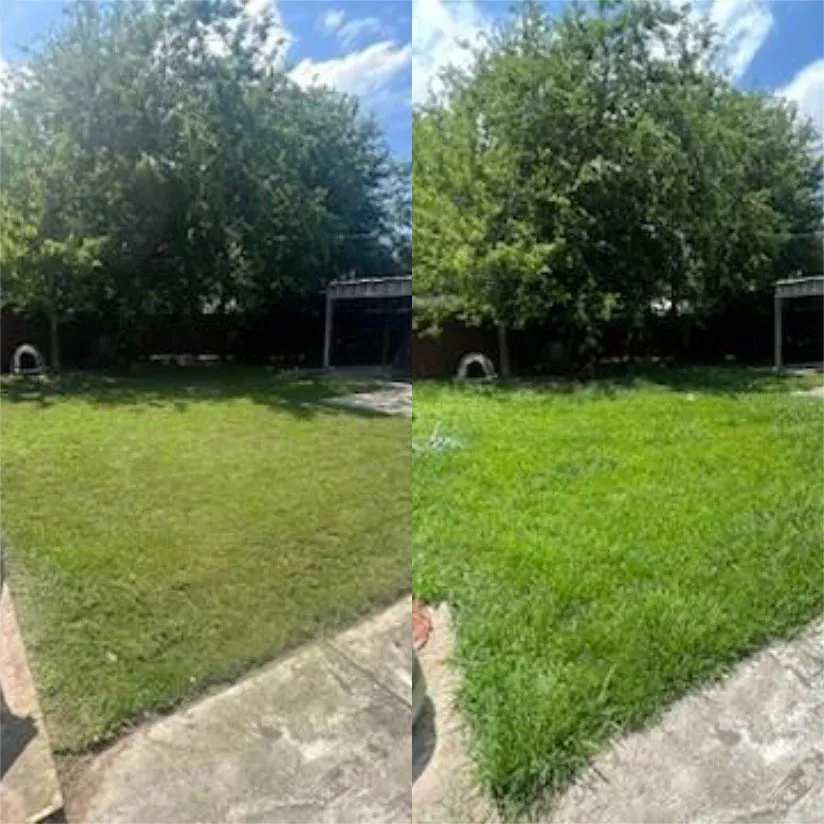 Affordable landscaping services experts serving Mont Belvieu, TX - River’s Service’s