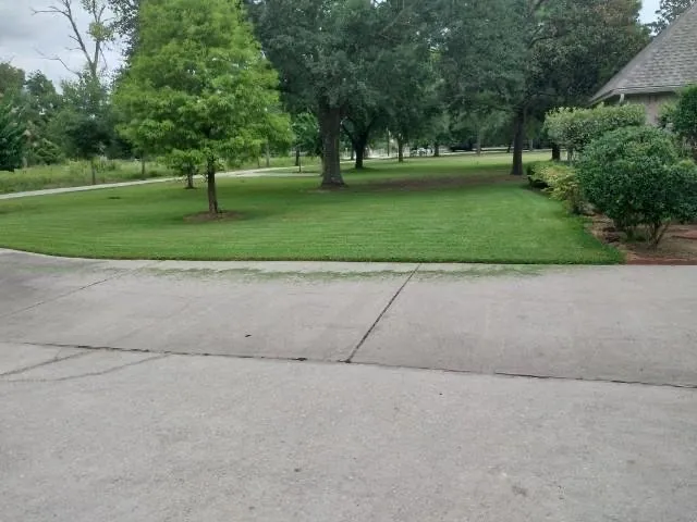 Custom landscaping services experts serving Mont Belvieu, TX - River’s Service’s