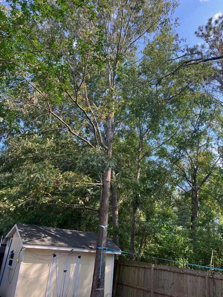 Expert yard maintenance for beautiful yards across Moncks Corner, SC - Rivers Tree Cutting and Land Clearing