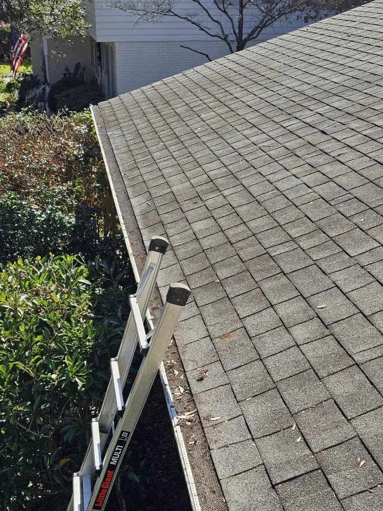 Expert yard maintenance in Moncks Corner, SC by Rivers Tree Cutting and Land Clearing