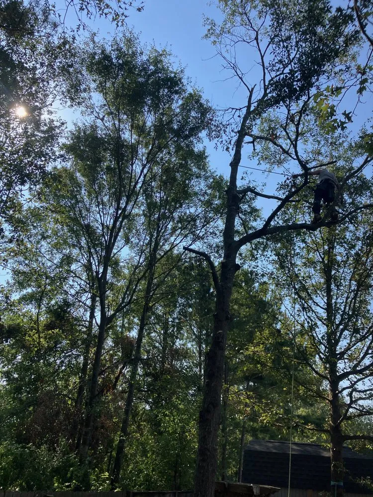 Local lawn care service with custom design in Moncks Corner, SC by Rivers Tree Cutting and Land Clearing