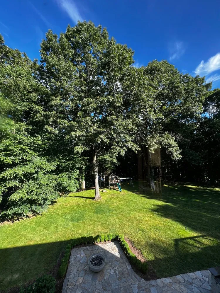 Trusted landscape design experts serving Ansonia, CT - Rivers Tree Service