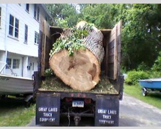 Top-rated landscaping services for beautiful yards across Ansonia, CT - Rivers Tree Service