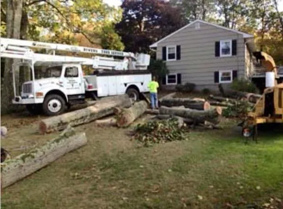 Reliable yard maintenance for residential properties in Ansonia, CT by Rivers Tree Service