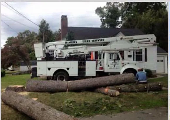 Custom landscape design experts serving Ansonia, CT - Rivers Tree Service