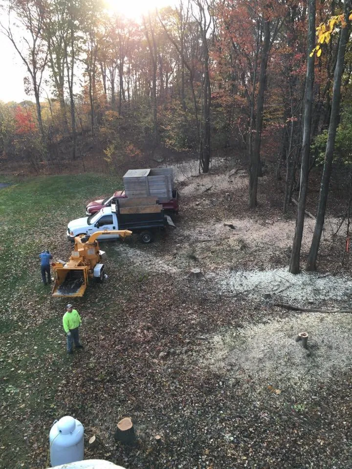 Affordable lawn mowing service for outdoor upgrades in Ansonia, CT by Rivers Tree Service