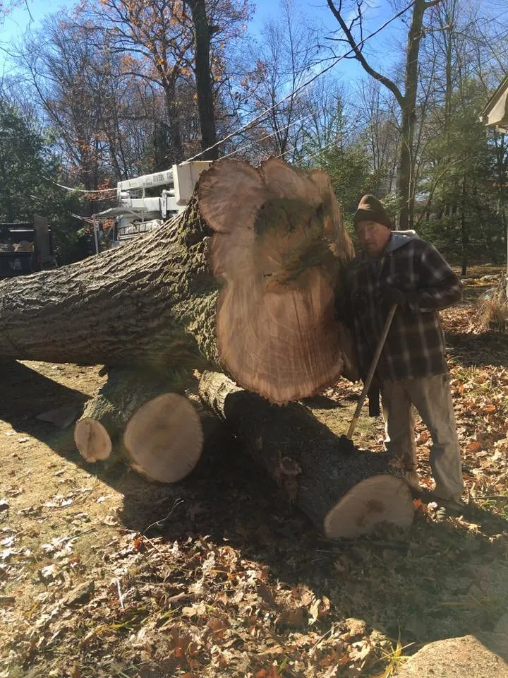 Professional garden landscaping for homes in Ansonia, CT by Rivers Tree Service