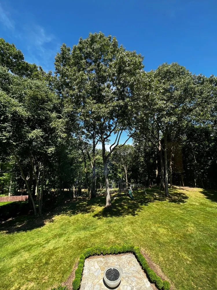 Expert landscape design for outdoor upgrades in Ansonia, CT by Rivers Tree Service