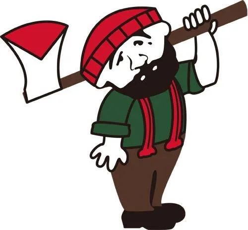 Trusted yard cleanup service in Ansonia, CT - Rivers Tree Service