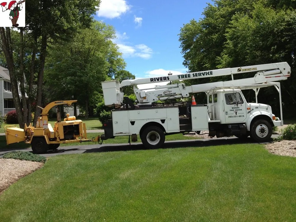 Custom landscape installation in Ansonia, CT by Rivers Tree Service