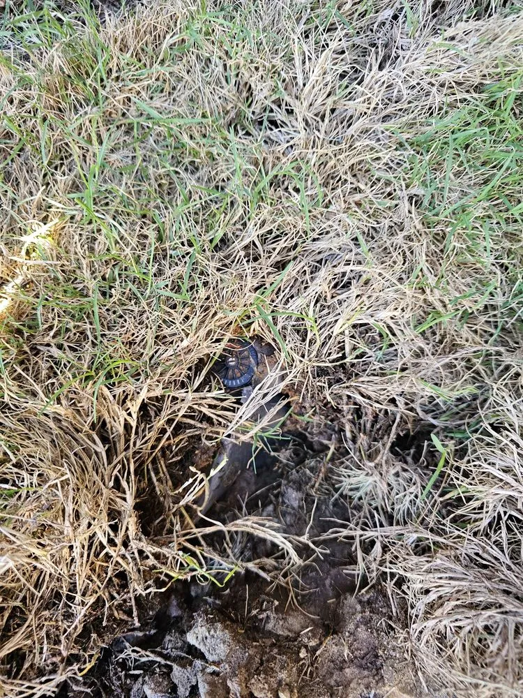 Local yard maintenance in Grand Prairie, TX - Riverside Irrigation & Landscape