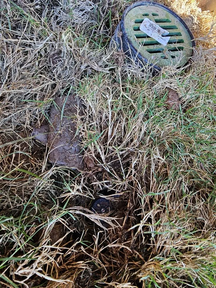 Top-rated landscaping services in Grand Prairie, TX - Riverside Irrigation & Landscape