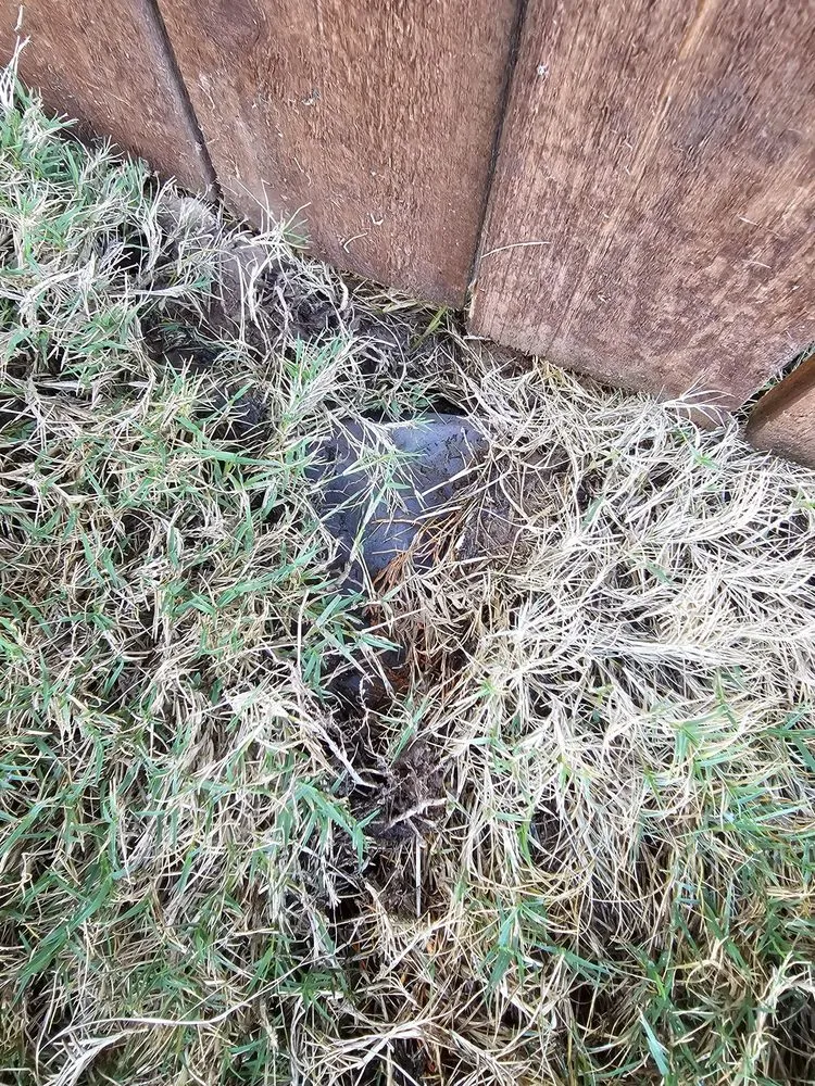 Reliable garden landscaping in Grand Prairie, TX by Riverside Irrigation & Landscape