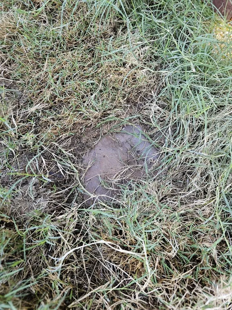 Local landscape design for homes across Grand Prairie, TX - Riverside Irrigation & Landscape