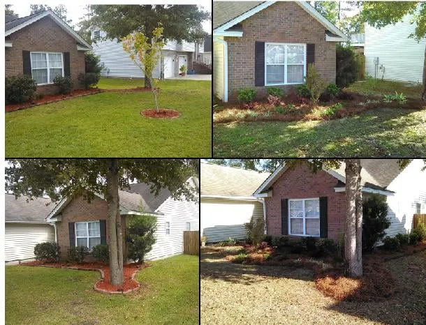 Top-rated garden landscaping in Charleston, SC - Riverside Landscape Services