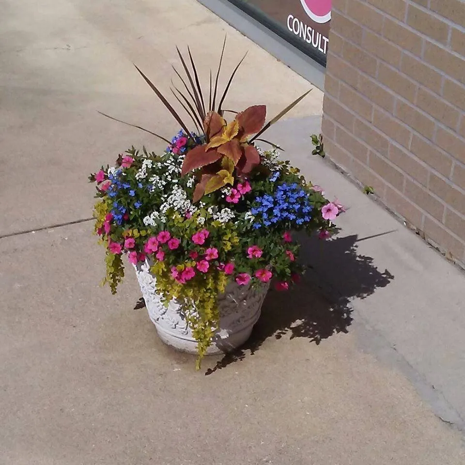 Top-rated residential landscaping experts serving Charleston, SC - Riverside Landscape Services