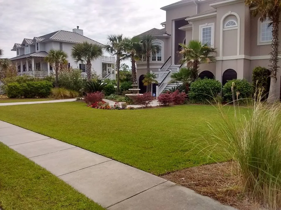 Expert yard maintenance in Charleston, SC - Riverside Landscape Services