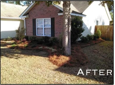 Top-rated landscape design in Charleston, SC by Riverside Landscape Services