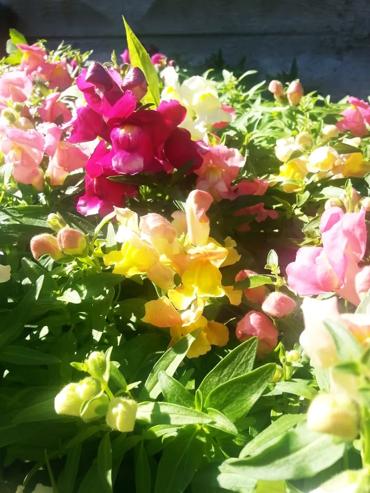 Reliable outdoor landscaping experts serving Avon, OH - Riverside Landscaping