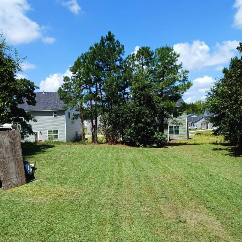 Local yard cleanup service in Cordova, SC - RiverSide Landscaping