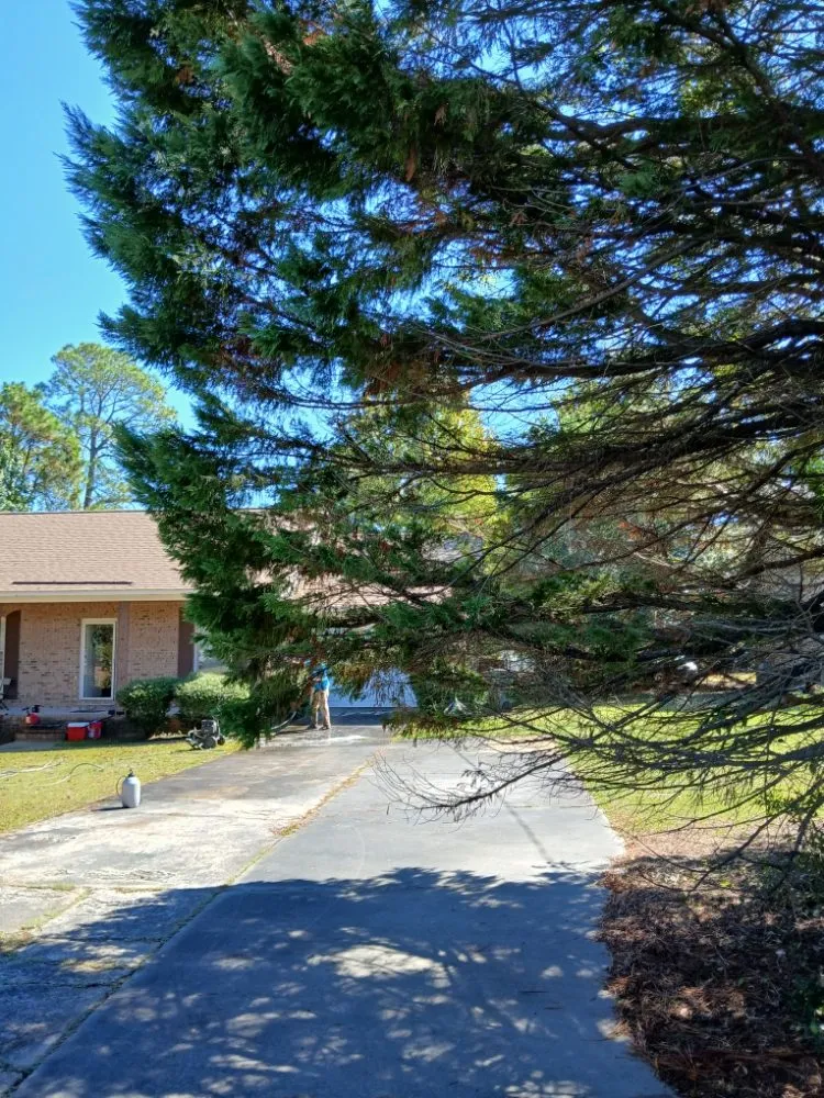Custom landscape design for residential properties across Cordova, SC - RiverSide Landscaping