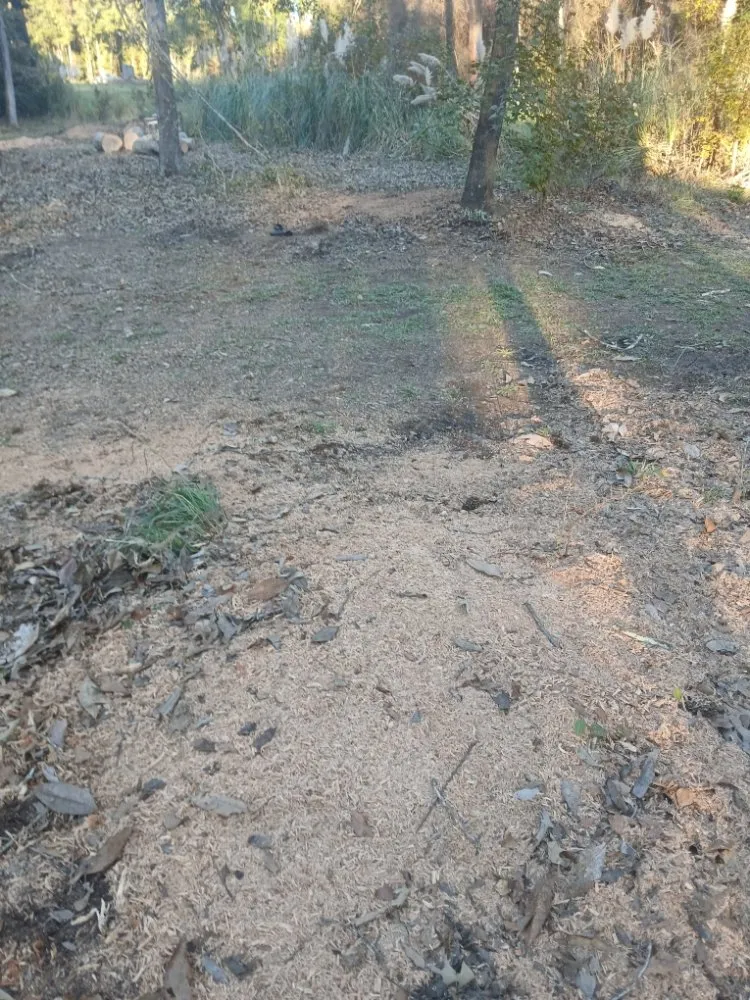 Top-rated yard maintenance in Cordova, SC by RiverSide Landscaping