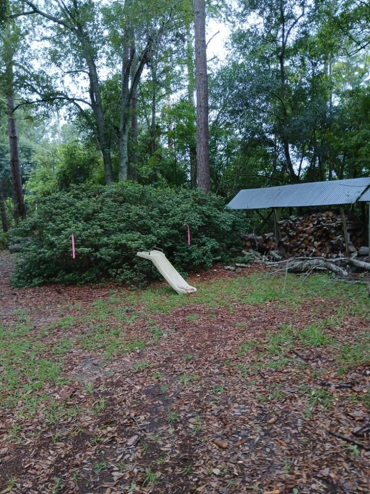 Professional lawn care service experts serving Cordova, SC - RiverSide Landscaping