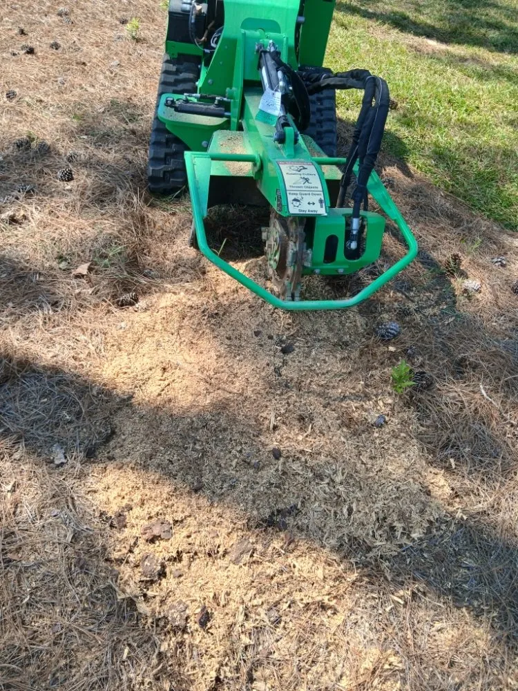 Custom residential landscaping in Cordova, SC - RiverSide Landscaping