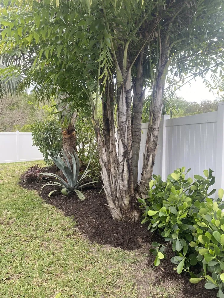 Professional yard cleanup service experts serving North Fort Myers, FL - Riverside Landscaping