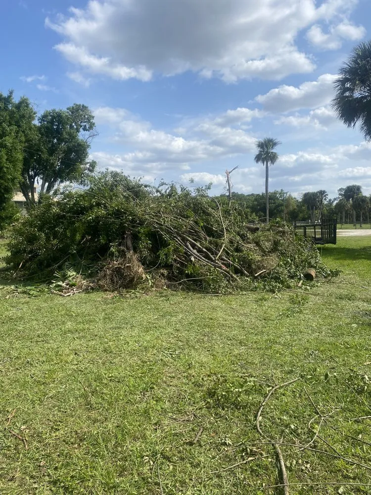 Top-rated landscape design in North Fort Myers, FL - Riverside Landscaping