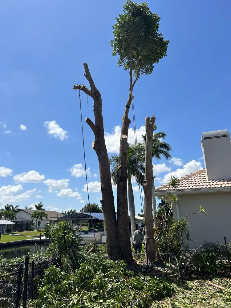 Trusted landscape design in North Fort Myers, FL - Riverside Landscaping