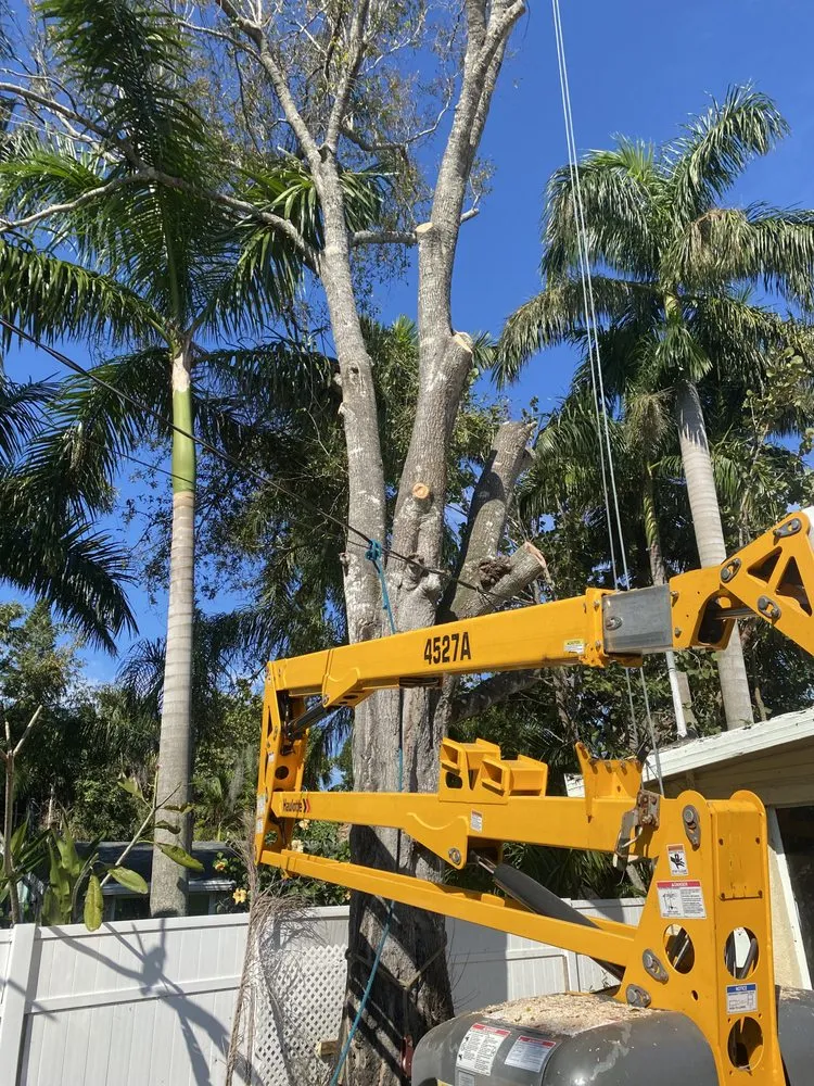 Custom yard maintenance with custom design in North Fort Myers, FL by Riverside Landscaping