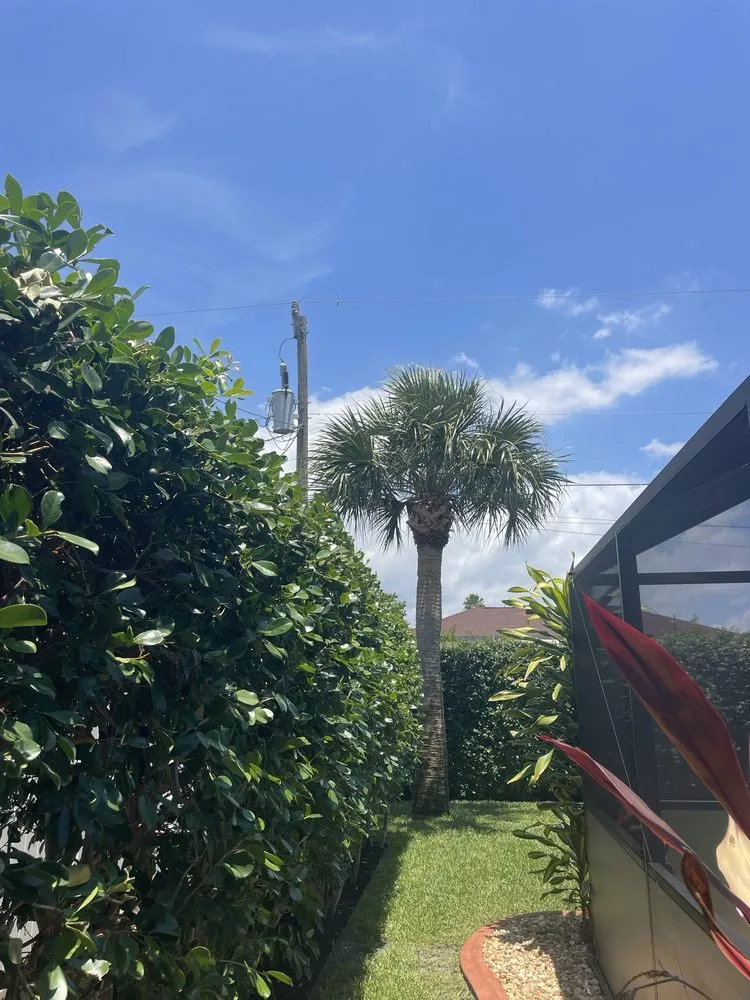 Professional landscape design in North Fort Myers, FL by Riverside Landscaping