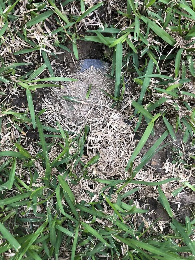 Reliable yard maintenance for year-round maintenance in Conroe, TX by Riverside Lawn & Landscaping