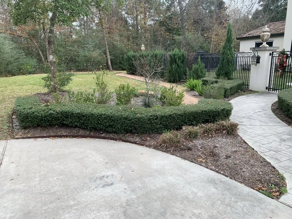 Trusted yard cleanup service experts serving Conroe, TX - Riverside Lawn & Landscaping