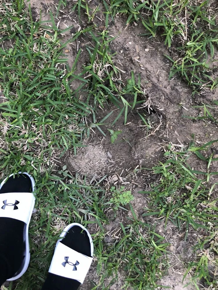 Professional outdoor landscaping experts serving Conroe, TX - Riverside Lawn & Landscaping