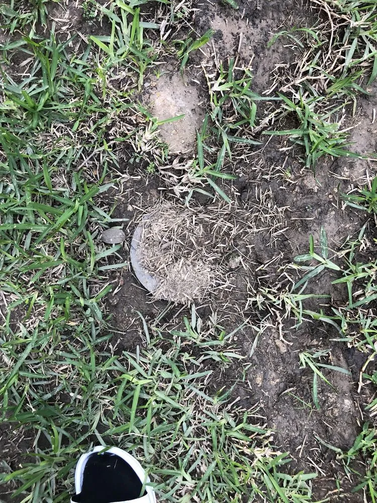 Trusted lawn care service experts serving Conroe, TX - Riverside Lawn & Landscaping