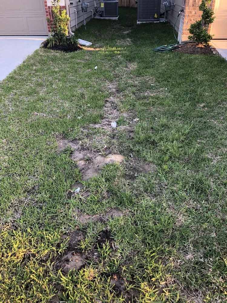 Expert landscape design in Conroe, TX - Riverside Lawn & Landscaping