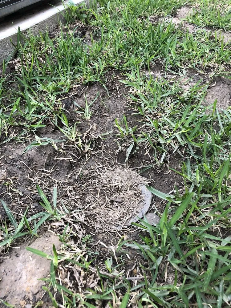 Local landscaping services in Conroe, TX - Riverside Lawn & Landscaping