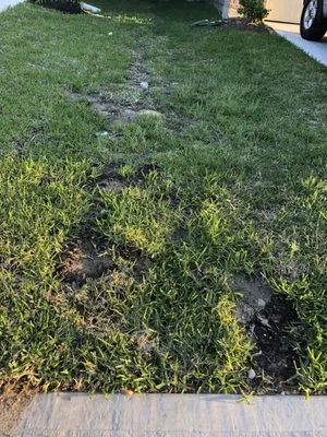 Riverside Lawn & Landscaping