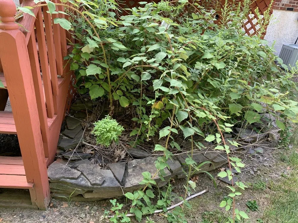 Local landscape installation in Norristown, PA by Riverside Lawn & Landscaping