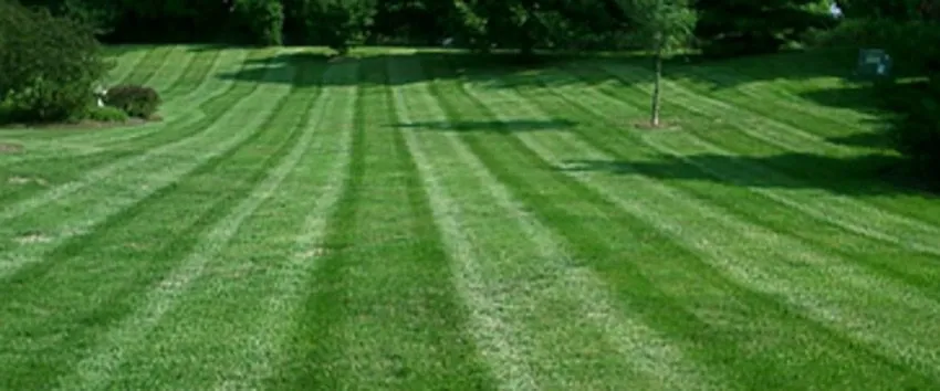 Reliable lawn mowing service in Mount Holly, NC - Riverside Lawn Care