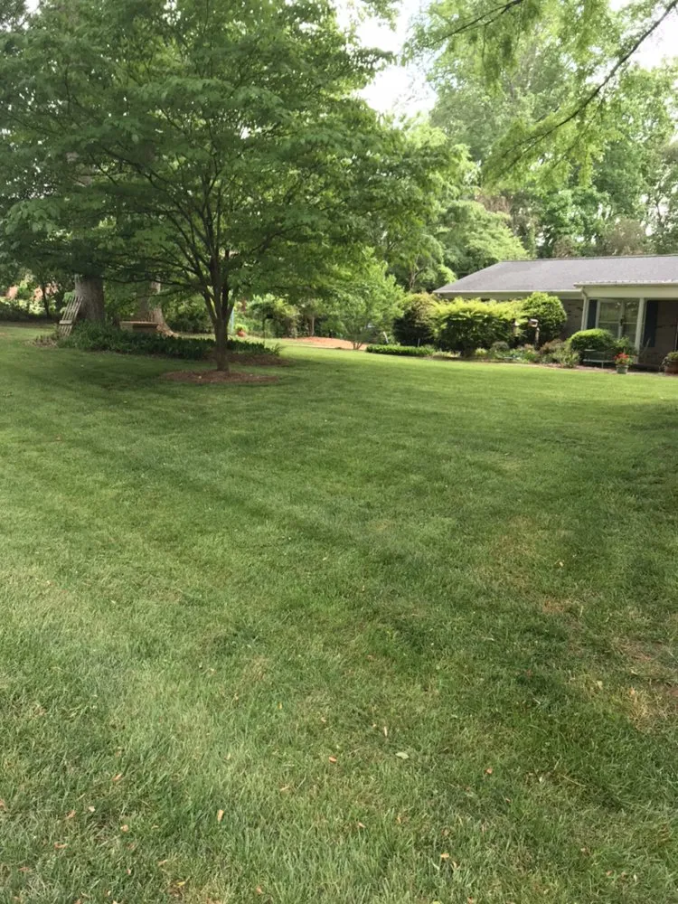 Reliable landscape installation in Mount Holly, NC - Riverside Lawn Care