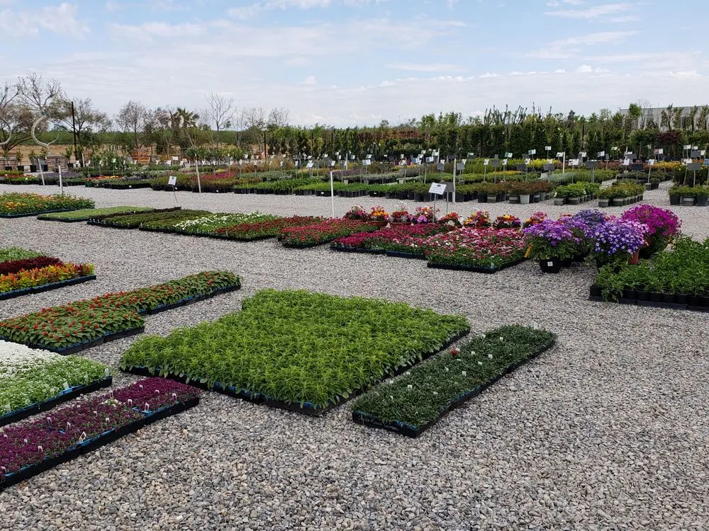 Local garden landscaping experts serving Fresno, CA - Riverside Nursery and Landscape Supplies