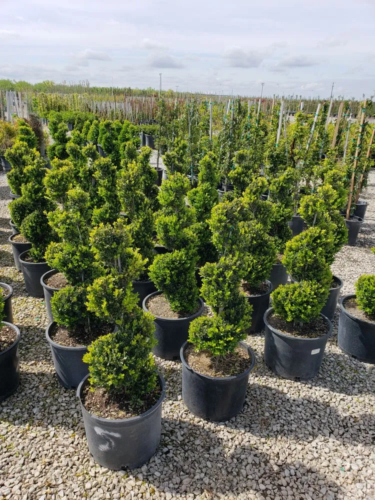 Top-rated landscape installation for homes in Fresno, CA by Riverside Nursery and Landscape Supplies